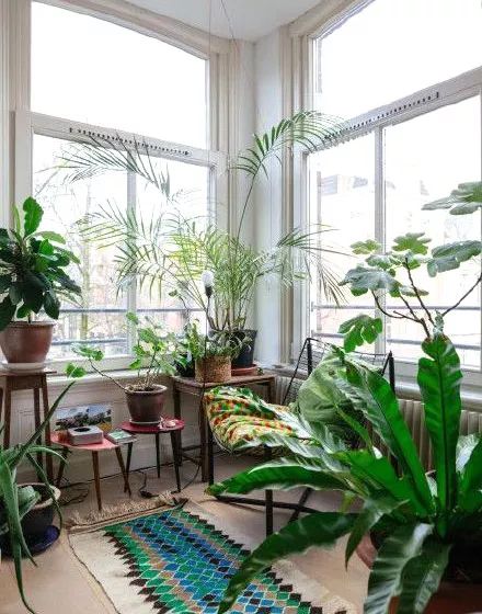 （二）绿植元素的战略性引入