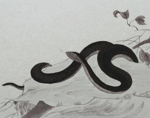 蛇蛇人的今日运势