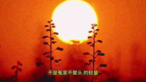 一、 吉时与适宜事项