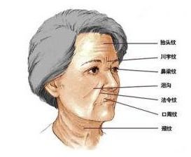 二、 各宫位青筋对应的运势解析