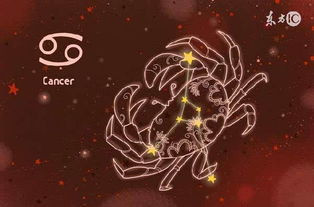 三、双鱼座的眼泪盛宴