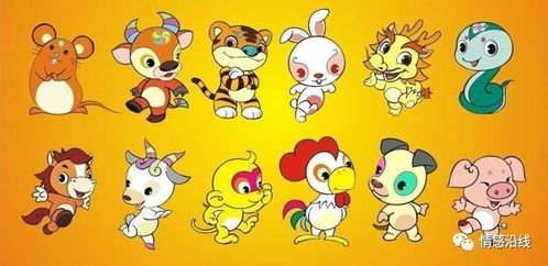 囊萤照读的生肖是什么？