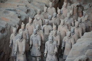 别再被“兵马俑免票攻略”骗了！2024最崭新政策，  90%的人都踩过这一些坑