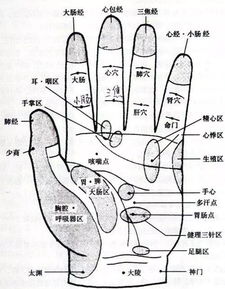潮汕风水手纹如何判断吉凶？蜘蛛结网穴风水宝地有哪些特点？