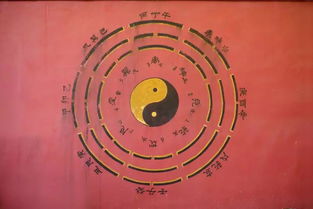 环境因素对健康的潜在作用