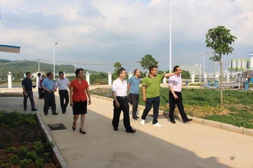 2026年属狗的人感情婚姻状况会有哪些变化？