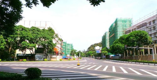 1. 空间布局的重构与功能分区