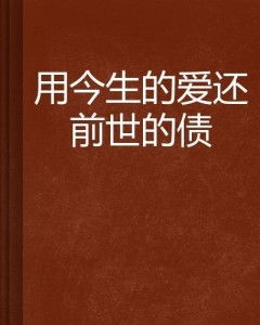 论“今生债”：前世感情纠葛与当代情感困境的国学反思