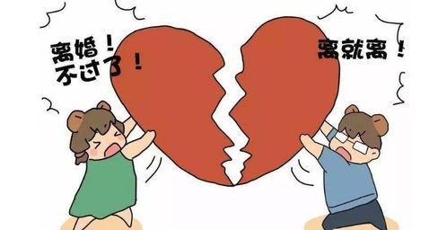 一、 探究背景与问题提出
