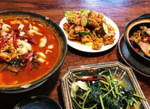 美食攻略：除了贵还是贵钱包伤不起