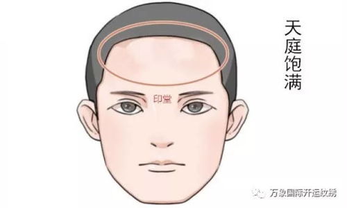 六、额头圆润饱满亦无坑洞: 前途光明