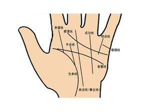 哪些手相特征表明女性可能再婚？