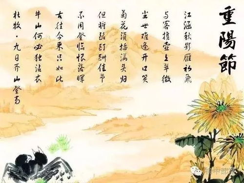 一、 文化底蕴意象的解码：沉重阳、较高台与等待