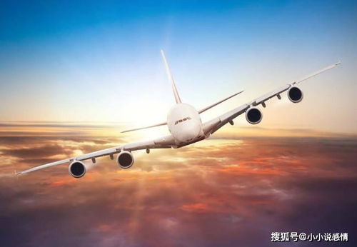 飞机在生肖中代表什么，哪个生肖与飞机最为契合？