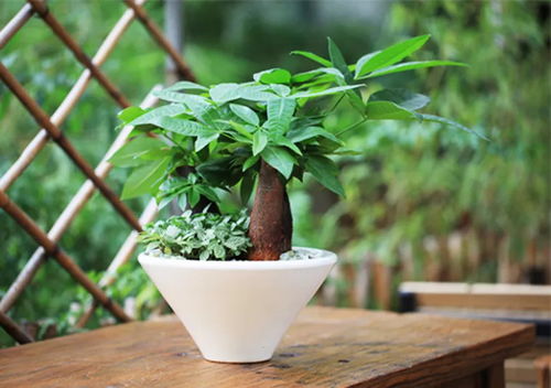 文昌位之理论根基及其在风水学中的功能定位