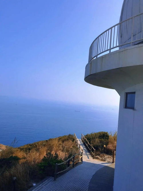 城市文化：热闹与陷阱
