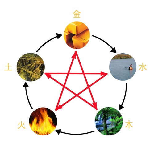 2026年姓名五行配对免费，最新姓名配对测试如何进行？