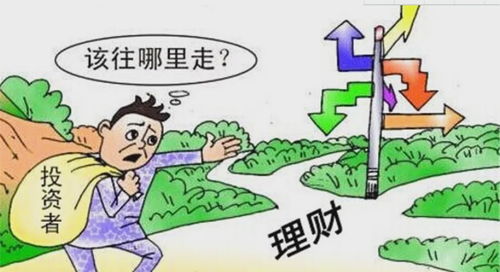 二、  宏观政策环境与市场周期的深度剖析