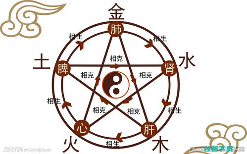 如何通过八字五行进行详细解析？