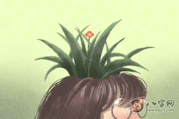 女人梦见抱白菜预示着什么含义？