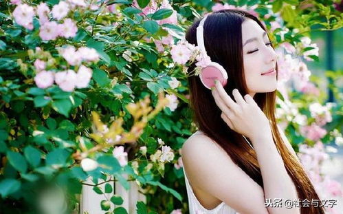 从古诗词中寻找灵感 (顺便聊聊我小时候的故事)