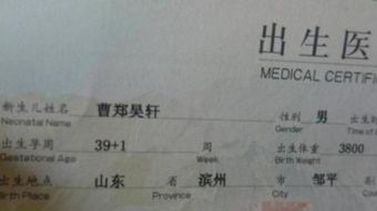 四、“命名网” 对“潮怀” 的专业评述