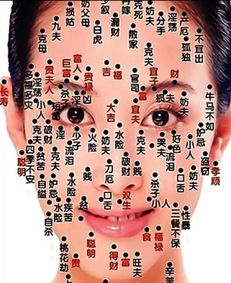 二、 后背长痣对个体心理特质及行为模式的潜在影响