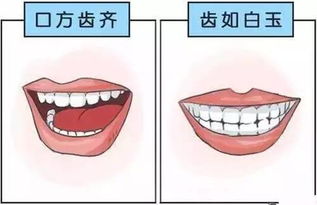 一、  面相学视角下的生理表征分析