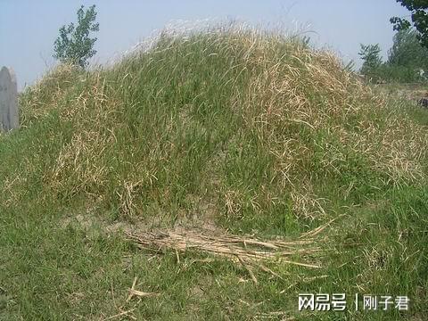 湖北坟头长草预示着什么吉凶，有什么特殊含义？