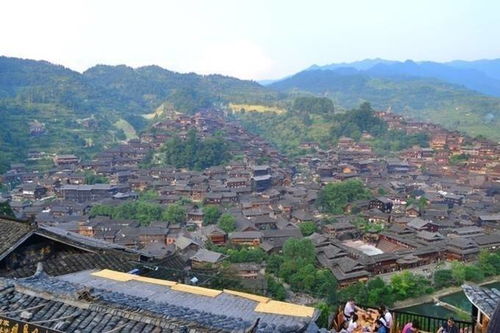 第一章：惯与交通这件事， 我有彳艮多脏话想说