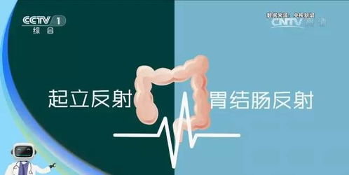 排毒与免疫力的提升