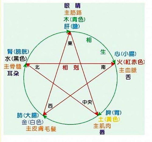 三、 五官作为脏腑功能指示器的具体对应
