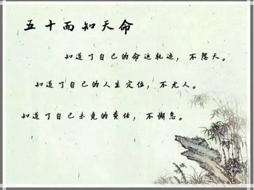 接受与放下的艺术：止损于无形