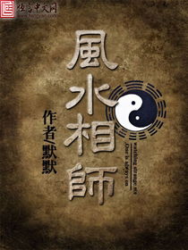 杨公风水密诀中，小说里提到的风水布局技巧有哪些？