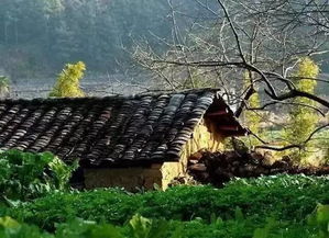 老屋年久屋顶塌了预示着什么生肖运势将受影响？