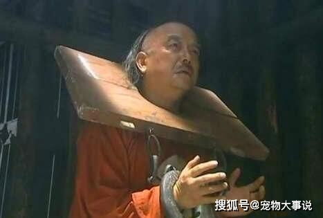 一、  诡异事件的起源与象征意义