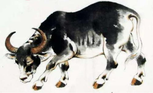 2026年属牛人的运势暗示具体是什么？