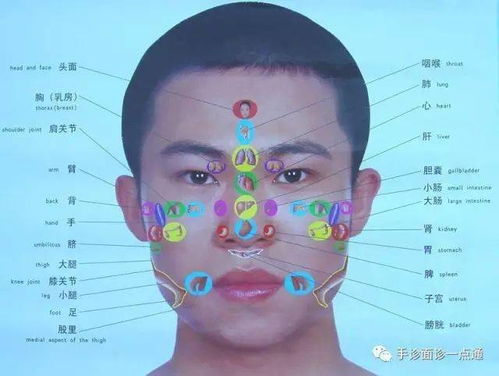 唇色失红：健康与运势的双重警示