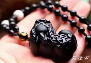 一、 体弱多病或正处于重症阶段者