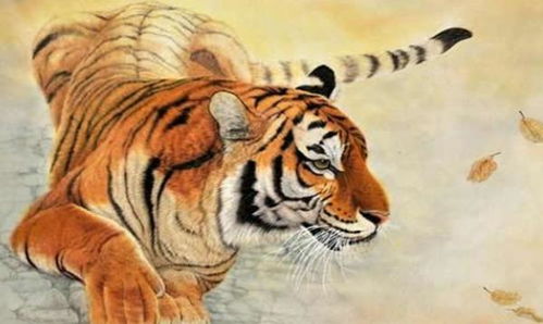 1986年出生的属虎人，2026年下半年运势如何？