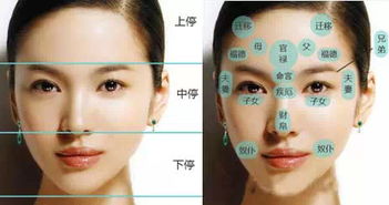 面相鼻通印堂正中有个小坑是什么好面相？