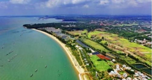 菊花岛上的“浪漫”与“惊喜”