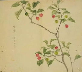 2. 花草象征法与叠音韵律法之审美融合