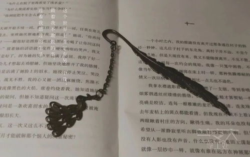 ：廉贪落陷与意外收获之学术议题概述