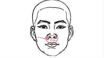 面相的独特性及其潜在联系