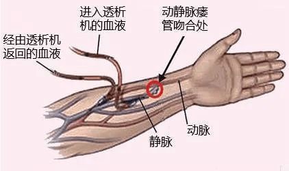 三、 周边环境风水学对生命线运势的调节机制