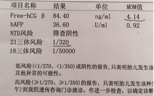 孕前检查， 提前防范措施唐氏儿的第一步