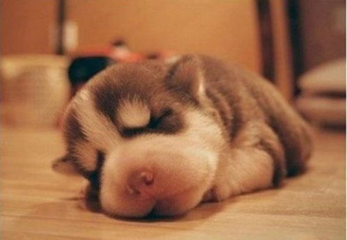 2026年属狗人正月针灸吉日和吉时分别是什么时候？