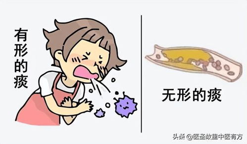 三、 针对不同症候类型之具体药膳方剂及其作用机制