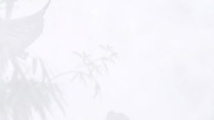 一、 诗境溯源：从表象到内核